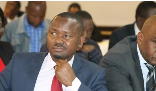 Prince Dubeko Sibanda’s Challenge Misreads Section 328